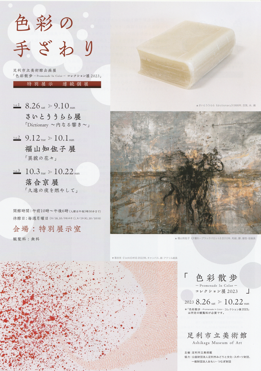 uDictionary `Ȃ鋿`v`V